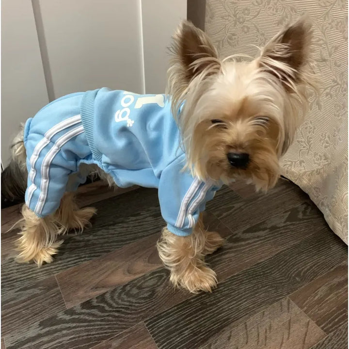 Sport Hoodie for Dogs