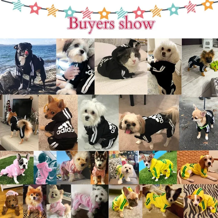 Sport Hoodie for Dogs