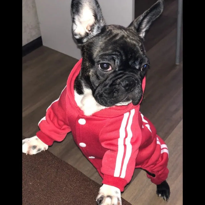 Sport Hoodie for Dogs