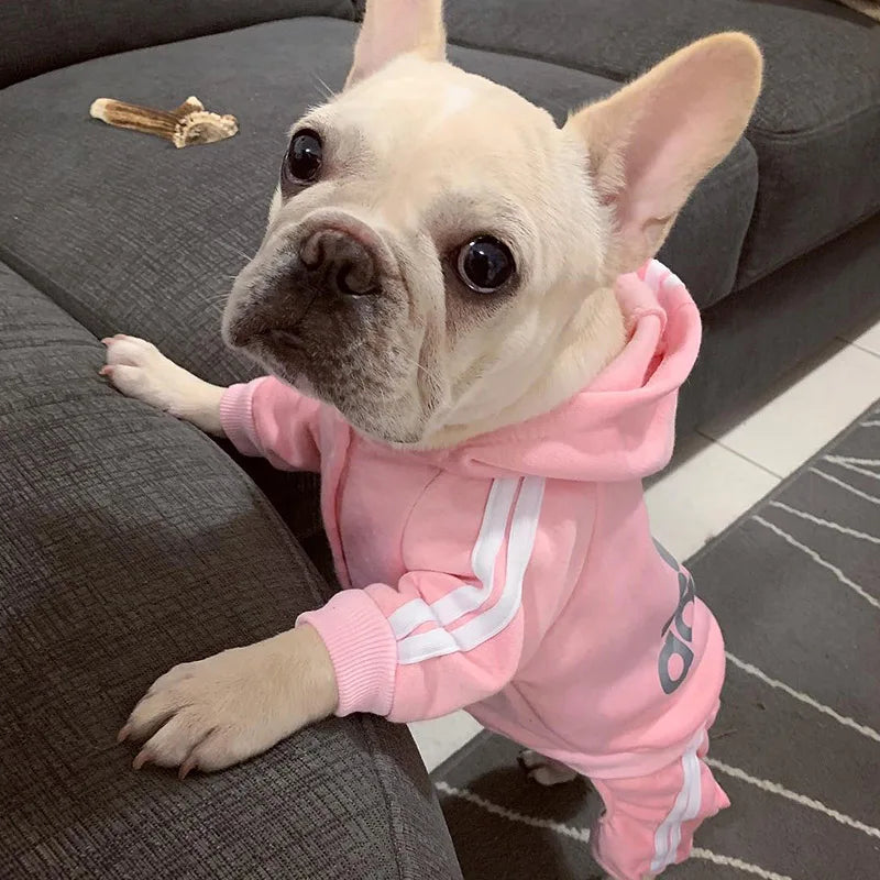 Sport Hoodie for Dogs