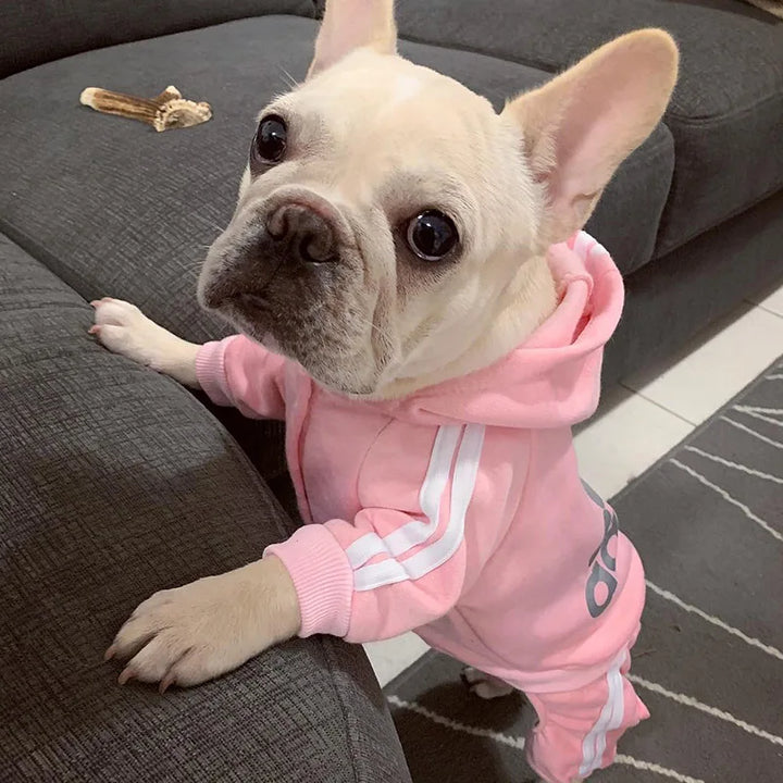 Sport Hoodie for Dogs