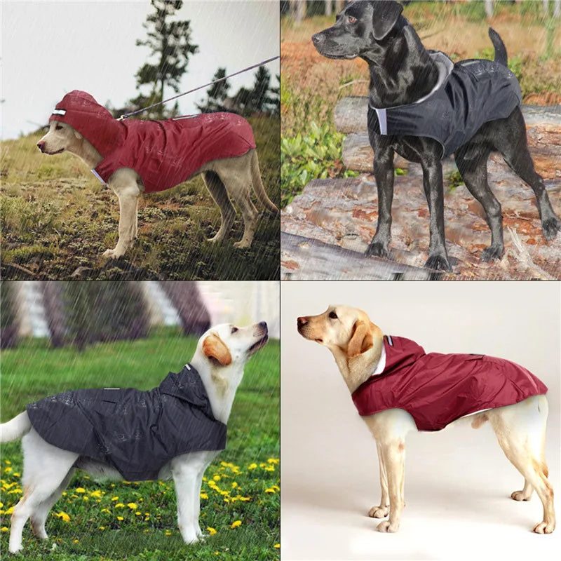 Waterproof Pet Jacket