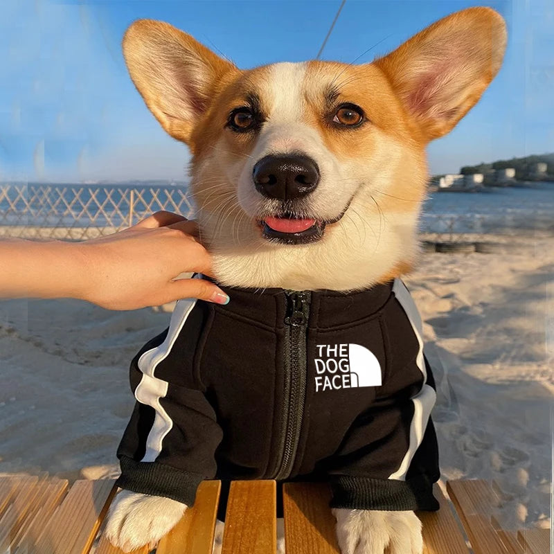 CorePaw Hoodie