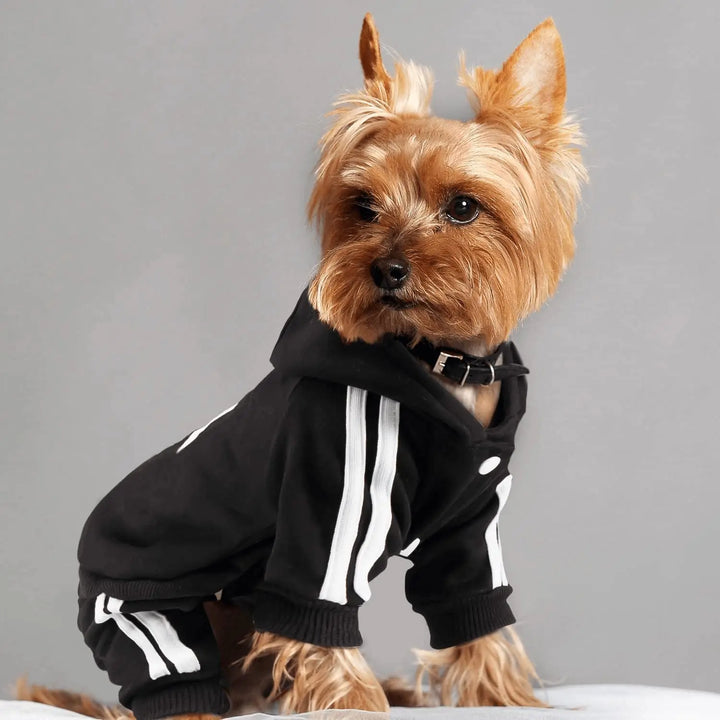 Sporty Pet Jumpsuit