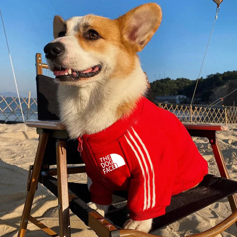 CorePaw Hoodie