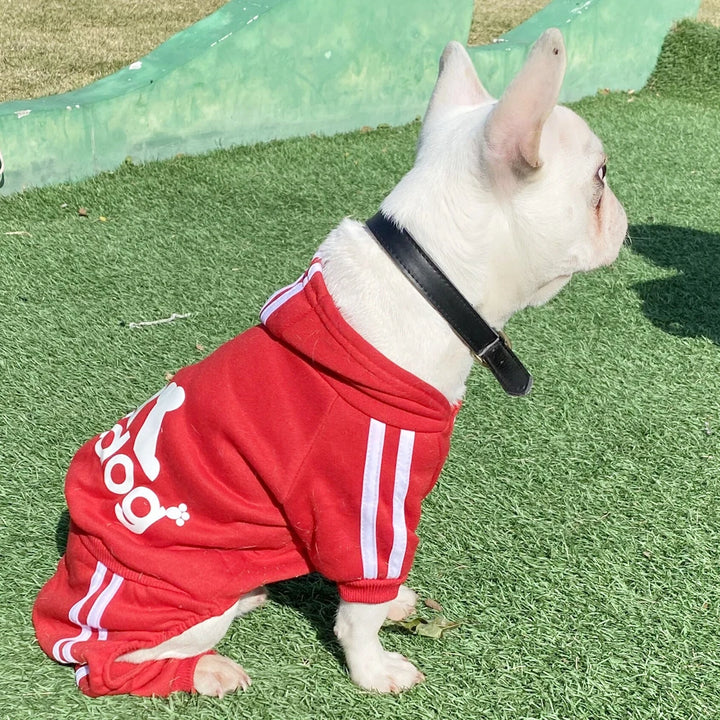 Sport Hoodie for Dogs