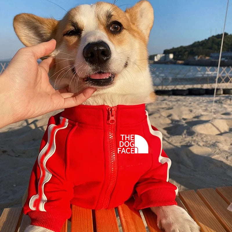 CorePaw Hoodie